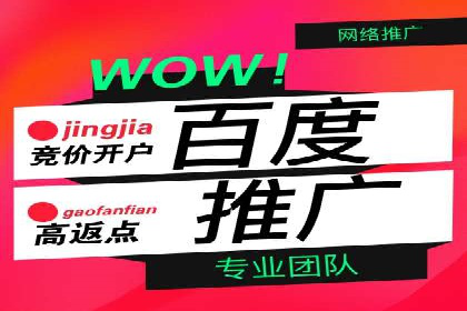 百度推广服务费案例：行业领军企业推广经验分享